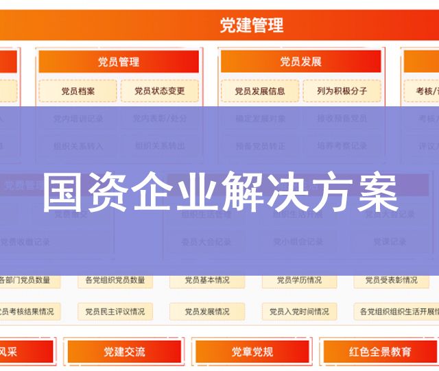 国资企业解决方案